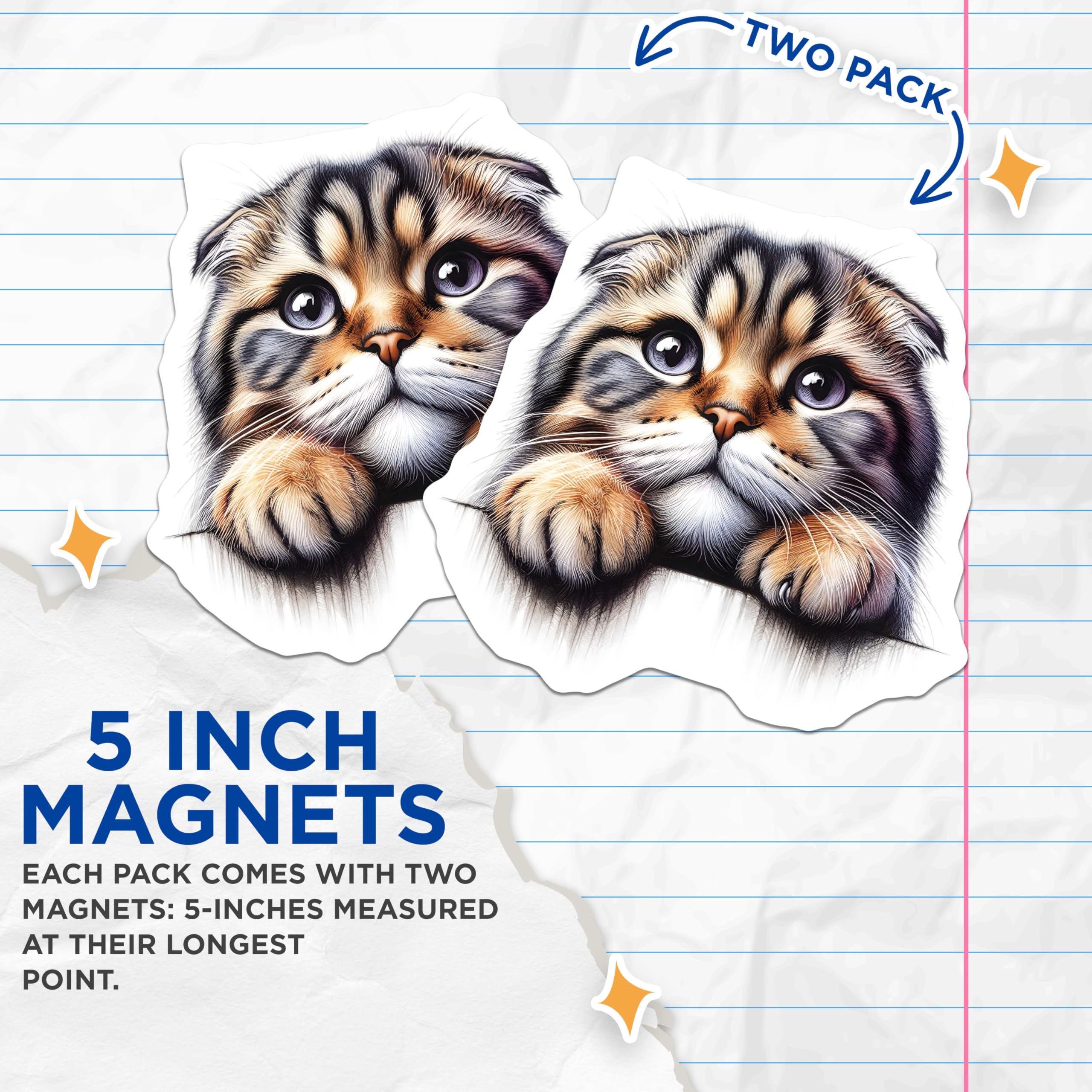 (2 Pack) Scottish Fold Cat Magnets - Adorable Kitten Fridge Decor - Cute Cat Lover Present - 5" On Longest Side - Premium Magnet - for Cars, Refrigerators, Toolboxes, Lockers - Made in USA - MAG15088