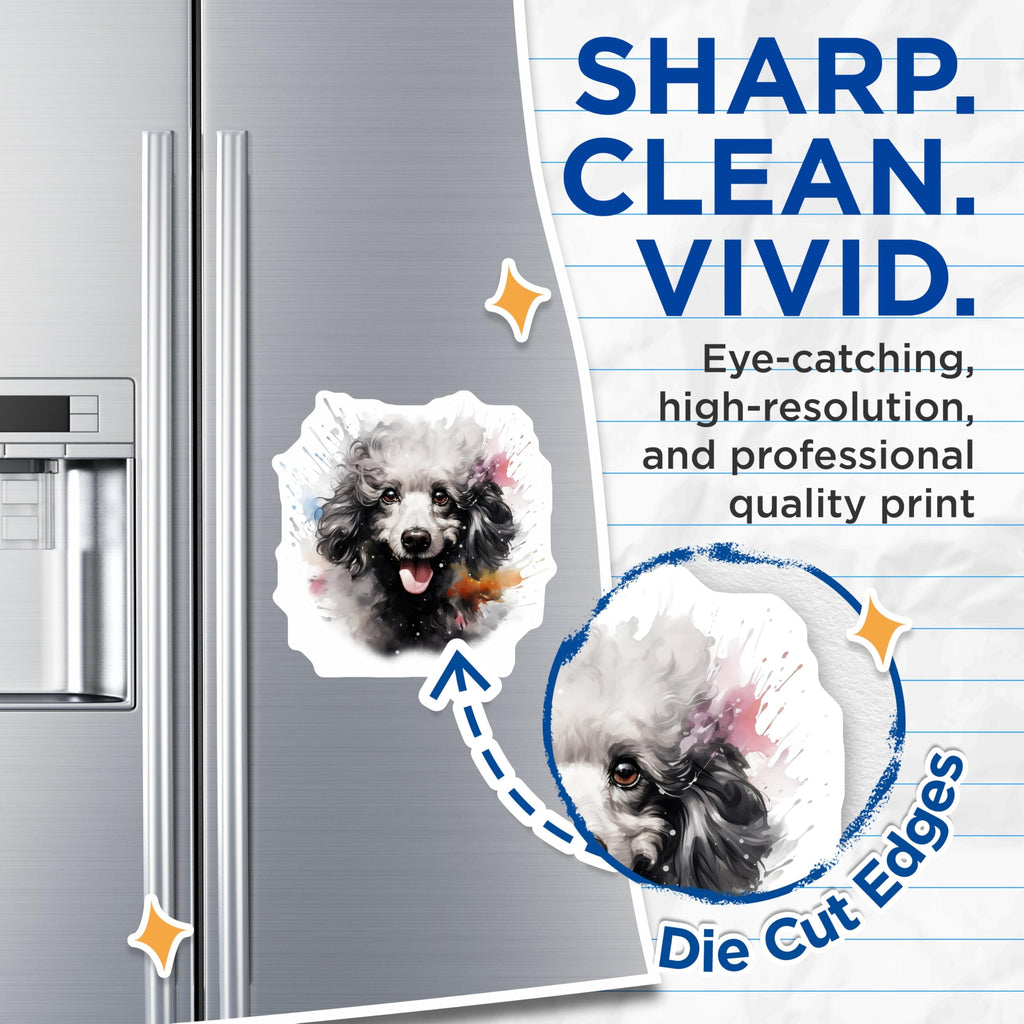 (2 Pack) Poodle Dog Magnets - Watercolor Poodle Art - Dog Mom Decor - 5 Inches On Longest Side - Thick Durable Magnet - Made in USA - MAG29285