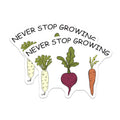 (2 Pack) Vegetable Magnets - Funny Fridge Magnets - Never Stop Growing Decor - 5" On Longest Side - Premium Magnet - for Cars, Refrigerators, Toolboxes, Lockers - Made in USA - MAG17930