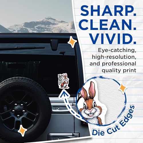 (2 Pack) Happy Go Lucky Stickers - Cute Rabbit Stickers - Motivational Stickers for Laptops and Water Bottles - 5" On Longest Side - Sticks to Smooth Flat Surfaces - Made in USA - BMCS4267
