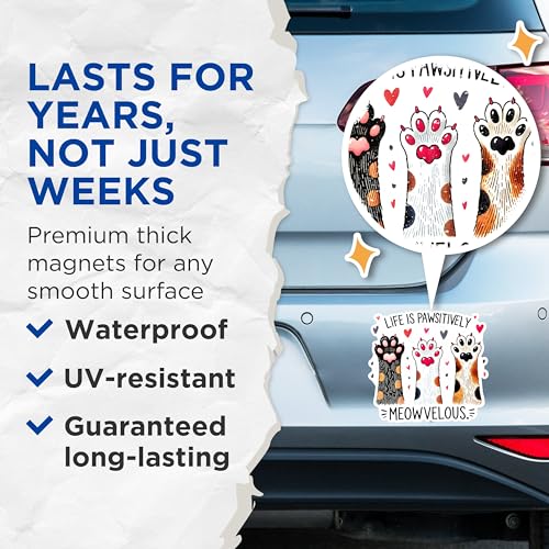 (2 Pack) Life is Pawsitively Meowvelous Cat Paws Magnets - Cute Cat Lovers Magnets - Cat Paw Print Magnets for Fridge Decor- 5" On Longest Side - for Fridges, Toolboxes, Cars - Made in USA - MAG2797
