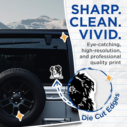 (2 Pack) Border Collie Dog Stickers - Cute Pet Lover Decal - Animal Art Decor - 5" On Longest Side - Sticks to Smooth Flat Surfaces - Made in USA - BMCS4046