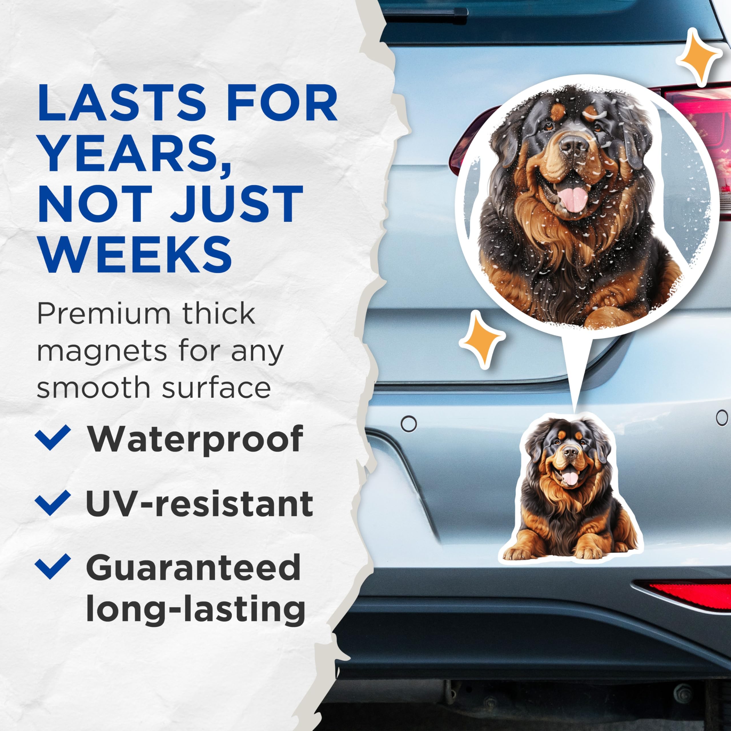 (2 Pack) Happy Fluffy Dog Magnets - Large Breed Pet Art - Tibetan Mastiff Dog Mom Dad - Animal Lover Decor - 5 Inches On Longest Side - Thick Durable Magnet - Made in USA - MAG27314