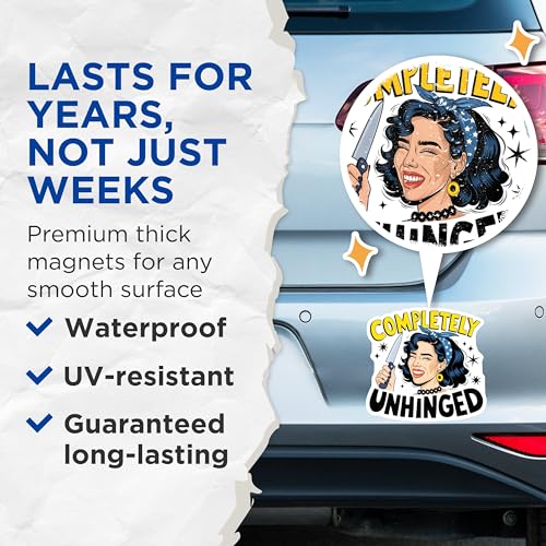 (2 Pack) Completely Unhinged Magnets - Retro Fun Decor - Quirky Message - Unique Fridge Accessory - 5" On Longest Side - for Cars, Fridges, Toolboxes - Made in USA - MAG7187