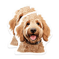 (2 Pack) Goldendoodle Magnets - Curly Doodle Dog Decor - Pet Parent Refrigerator Art - 5 Inches On Longest Side - Thick Durable Magnet - Made in USA - MAG27166