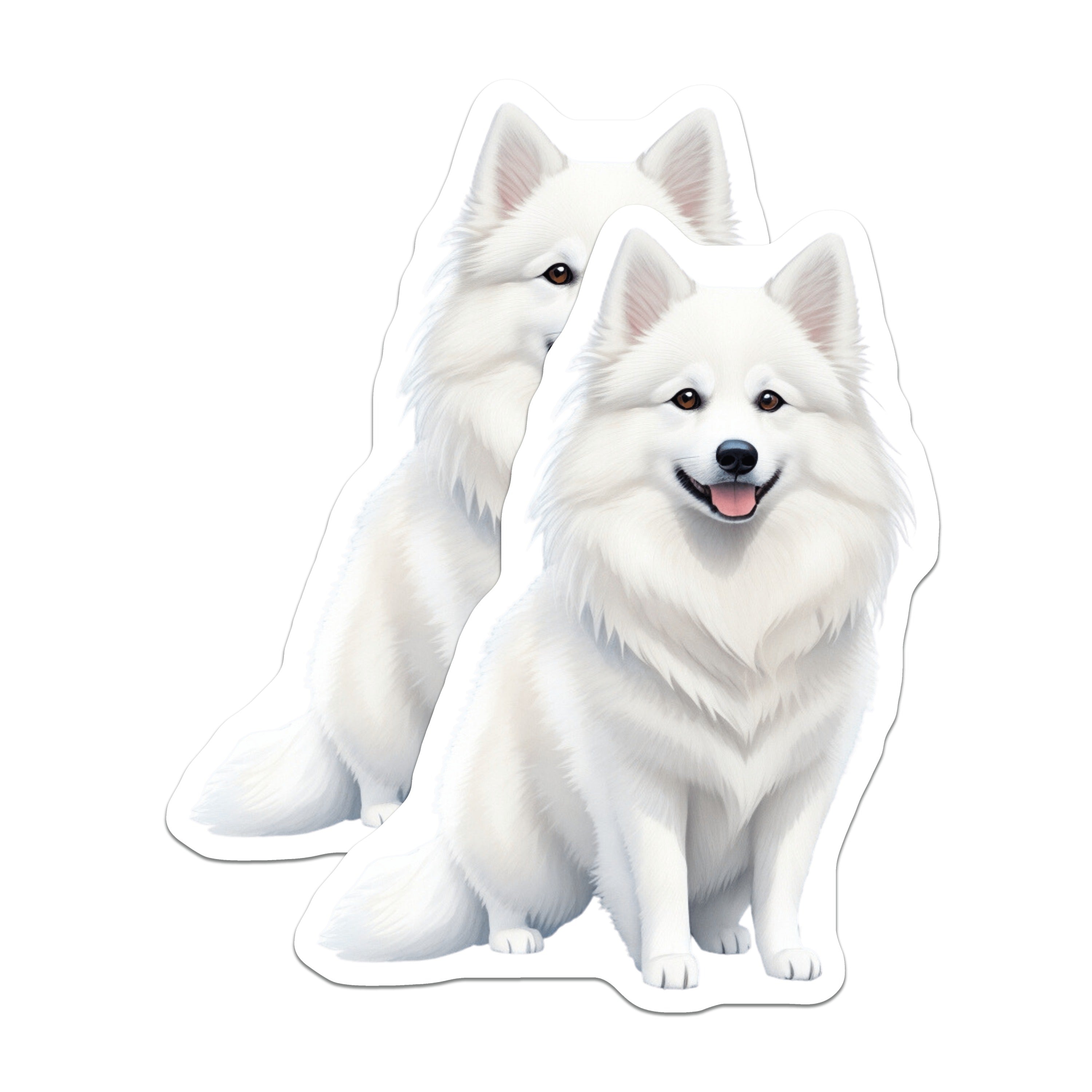 (2 Pack) Samoyed Dog Magnets - White Fluffy Canine - Pet Lover Home Decor - Cute Animal Refrigerator Display - 5 Inches On Longest Side - Thick Durable Magnet - Made in USA - MAG36985