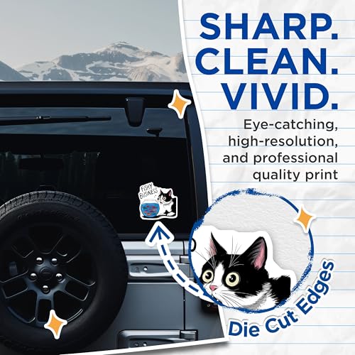 (2 Pack) Funny Cat Fishy Business Stickers - Cute Animal Sticker - 5" On Longest Side - Sticks to Smooth Flat Surfaces - Made in USA - BMCS8770 - BMCS8770