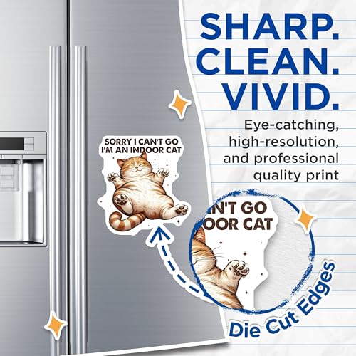 (2 Pack) Indoor Cat Magnets - Funny Cat Sayings - Cute Cat Quotes - Kitty Lover Magnets - Cat Lover - 5" On Longest Side - for Cars, Fridges, Toolboxes - Made in USA - MAG3663