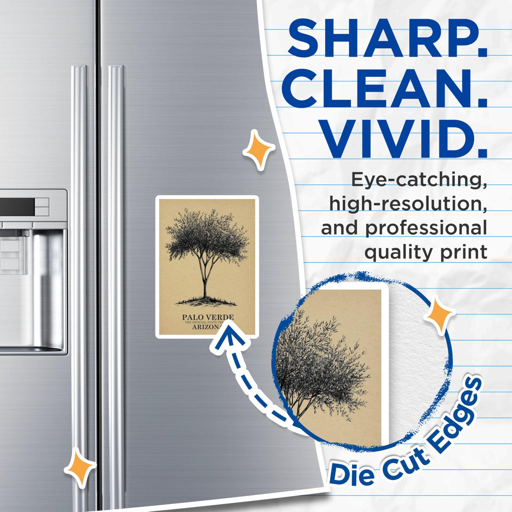 (2 Pack) Palo Verde Magnets - Arizona State Tree Magnets - Desert Tree Decor - 5" On Longest Side - Premium Magnet - for Cars, Refrigerators, Toolboxes, Lockers - Made in USA - MAG18506