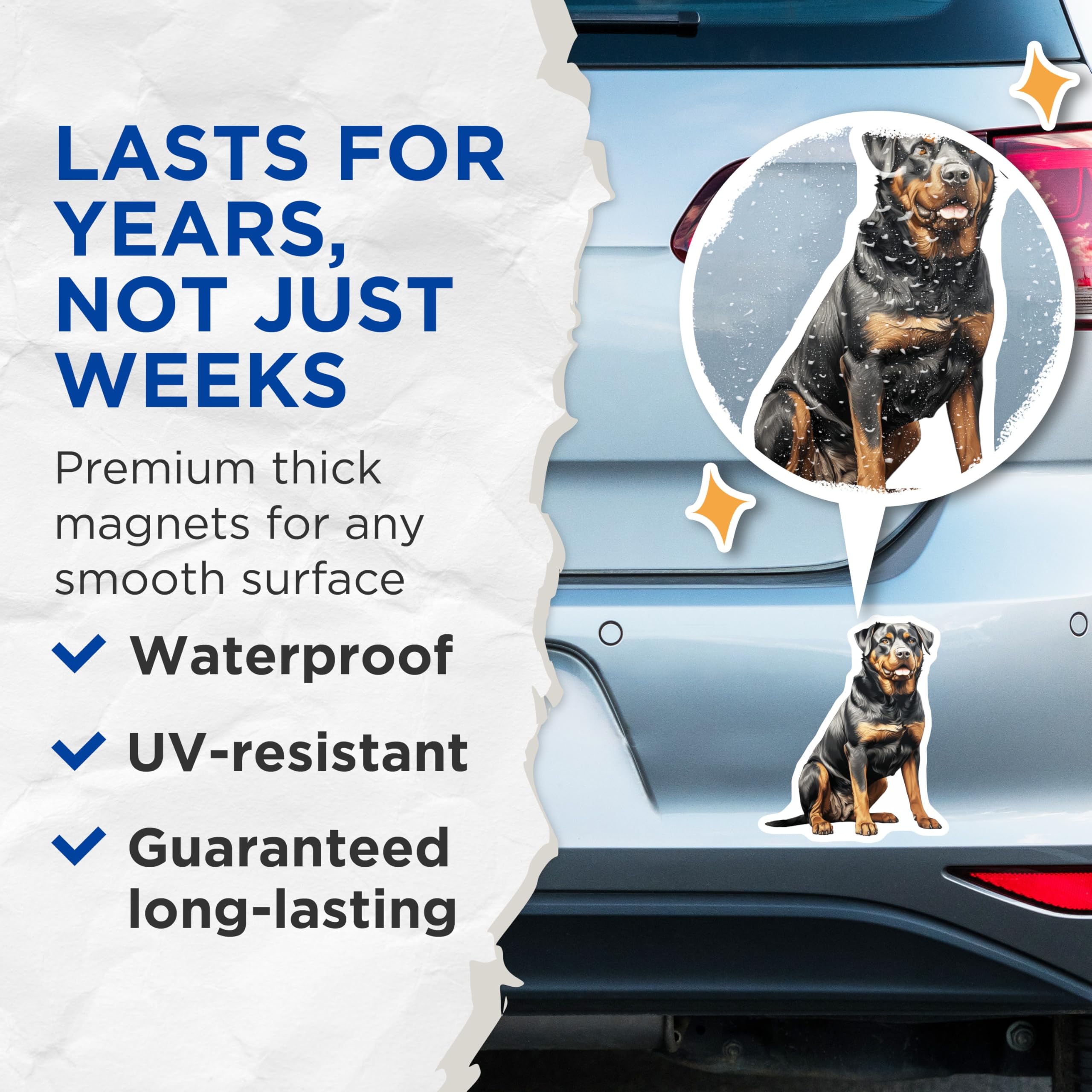 (2 Pack) Rottweiler Magnets - Rottie Dog Lover - Canine Breed Decor - 5 Inches On Longest Side - Thick Durable Magnet - Made in USA - MAG30206