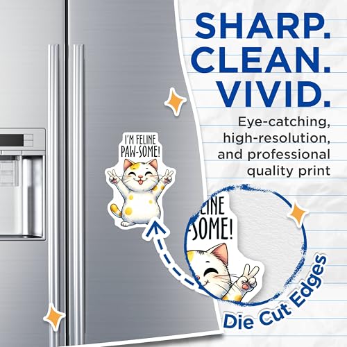 (2 Pack) I'm Feline Paw-Some Magnets - Cute Cat Magnets - Cat Lover Fridge Magnets - 5" On Longest Side - for Cars, Refrigerators, Toolboxes, Lockers - Made in USA BMCS3133