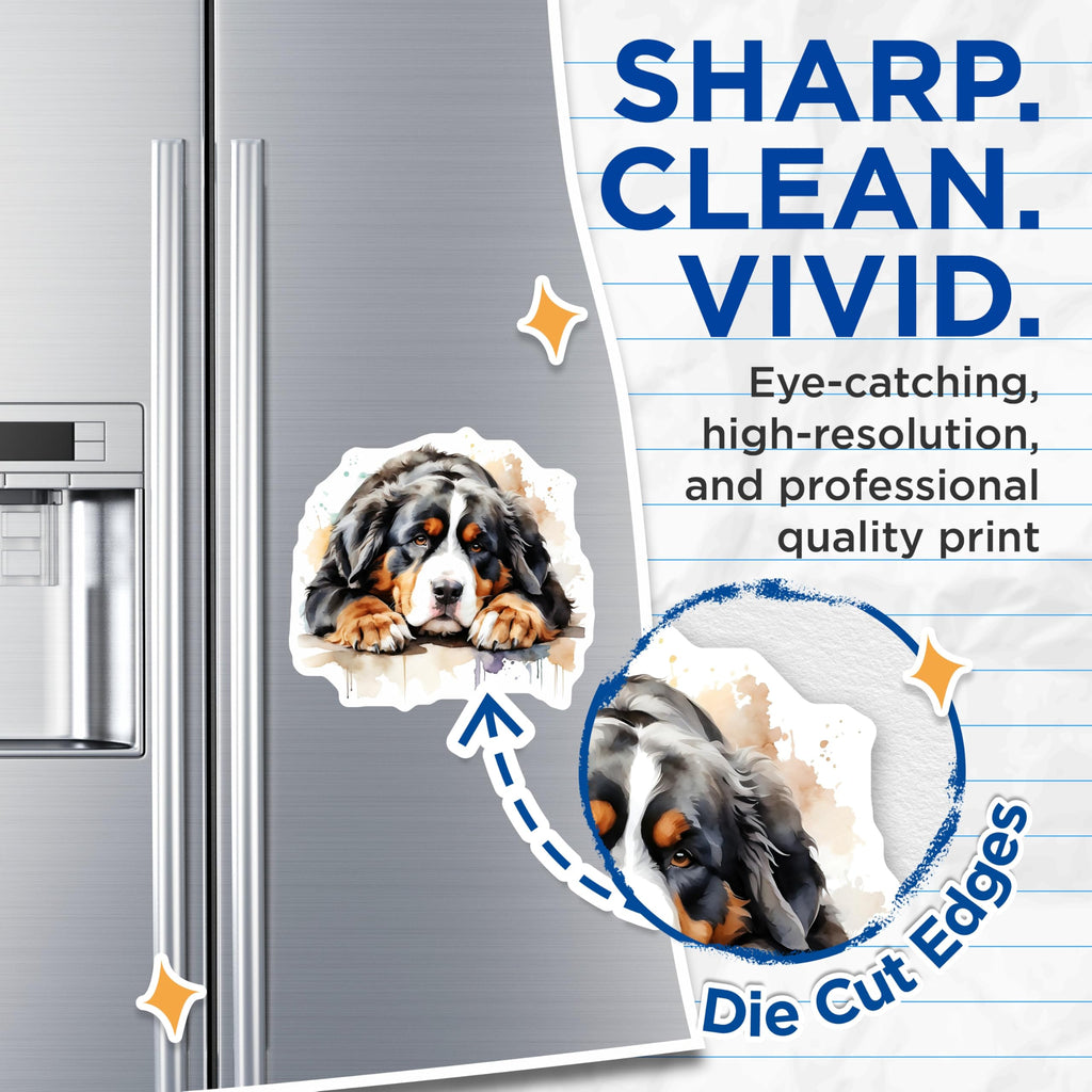 (2 Pack) Bernese Mountain Dog Magnets - BMD Refrigerator Decor - Canine Lover Souvenir - 5" On Longest Side - Premium Magnet - for Cars, Refrigerators, Toolboxes, Lockers - Made in USA - MAG15651