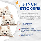 (3 Pack) Samoyed Dog Decals - Cute Puppy Stickers - Laptop Decal - 3 Inches On Longest Side - Easy Peel & Apply - Made in USA - 3MCS8584