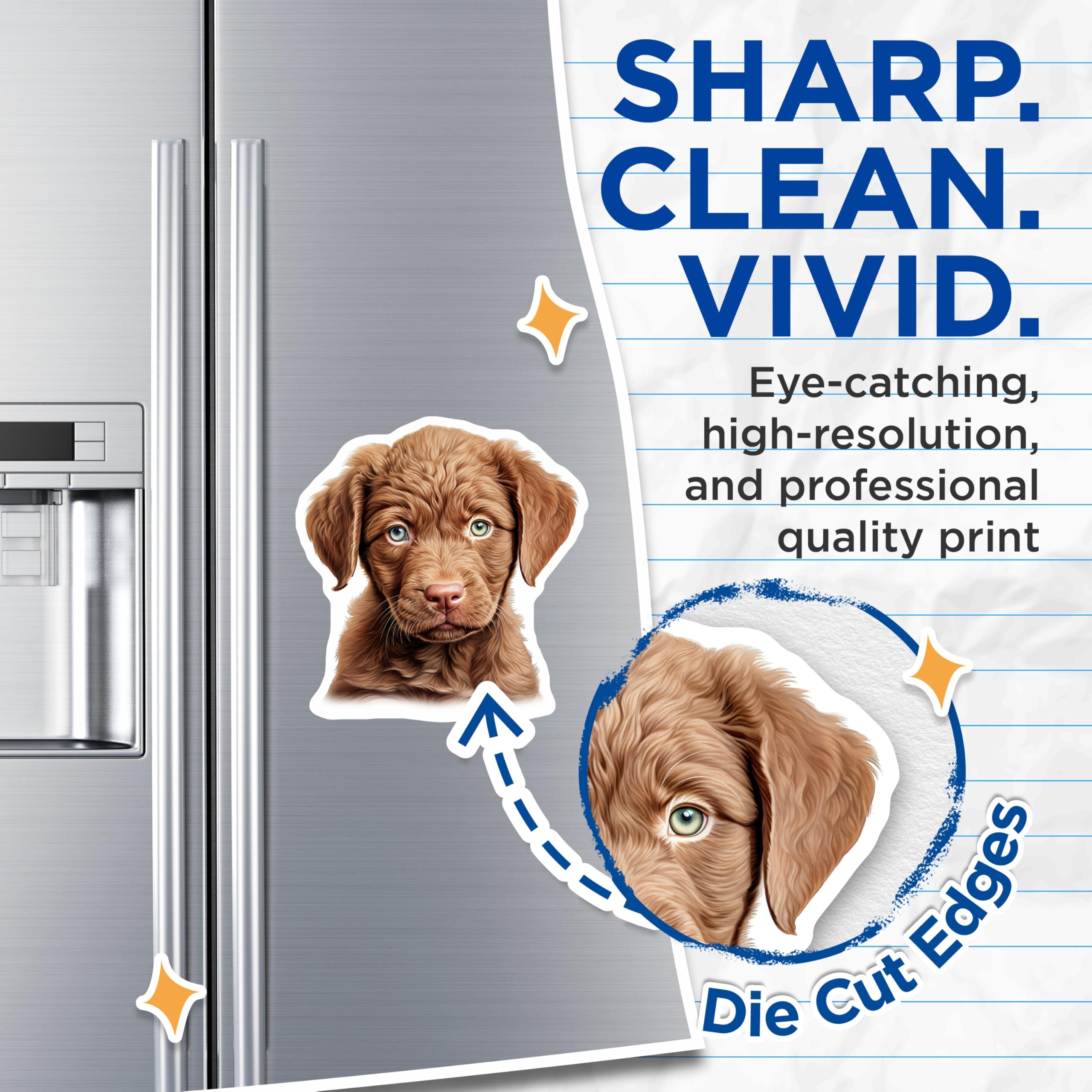 (2 Pack) Brown Puppy Magnets - Heterochromia Dog Decor - Cute Pet Animal Art - Heterochromatic Eyes Kitchen Locker Magnets - 5 Inches On Longest Side - Thick Durable Magnet - Made in USA - MAG23272