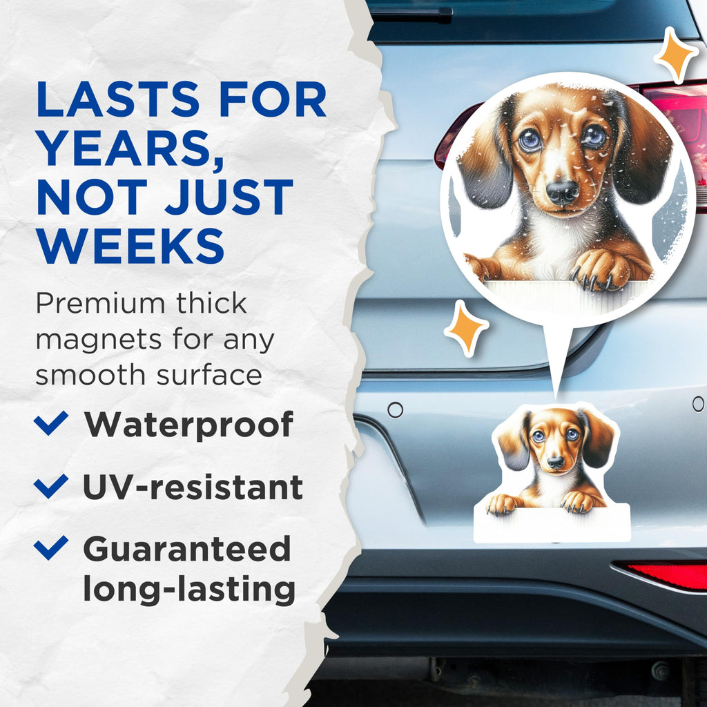 (2 Pack) Dachshund Dog Magnets - Wiener Dog - Sausage Dog Refrigerator Decor - 5" On Longest Side - Premium Magnet - for Cars, Refrigerators, Toolboxes, Lockers - Made in USA - MAG14580