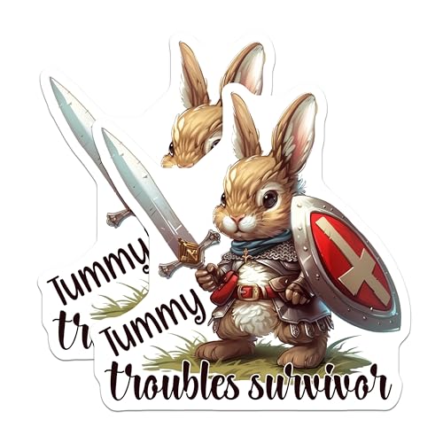 (2 Pack) Tummy Troubles Survivor Magnets - Cute Bunny Warrior - Inspirational Animal Art - Positive Quote Magnet - 5" On Longest Side - for Cars, Fridges, Toolboxes - Made in USA - MAG4354