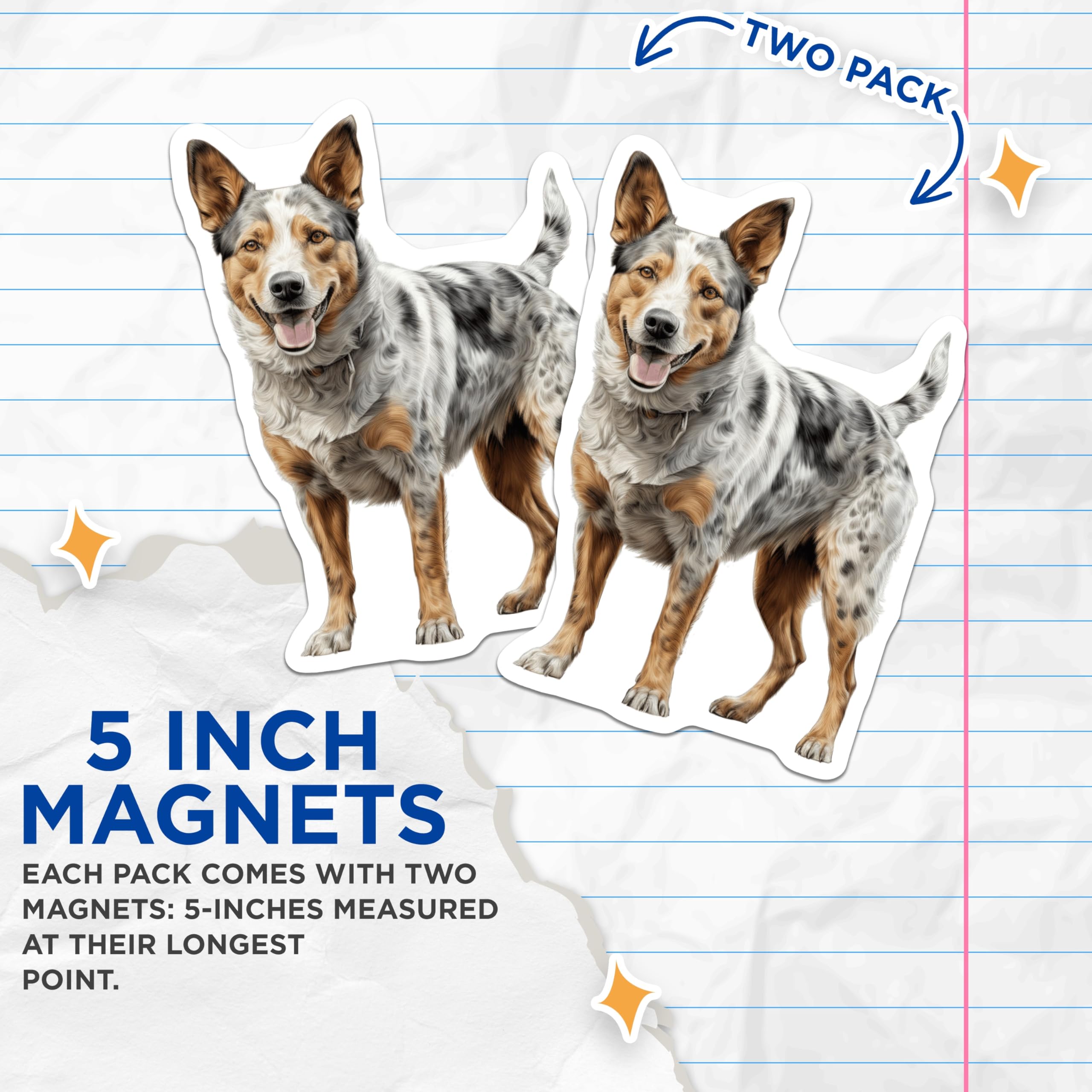 (2 Pack) Blue Heeler Dog Magnets - Australian Cattle Dog Lover - Farm Dog Kitchen Decor - Pet Parent Kennel Art - 5 Inches On Longest Side - Thick Durable Magnet - Made in USA - MAG25520