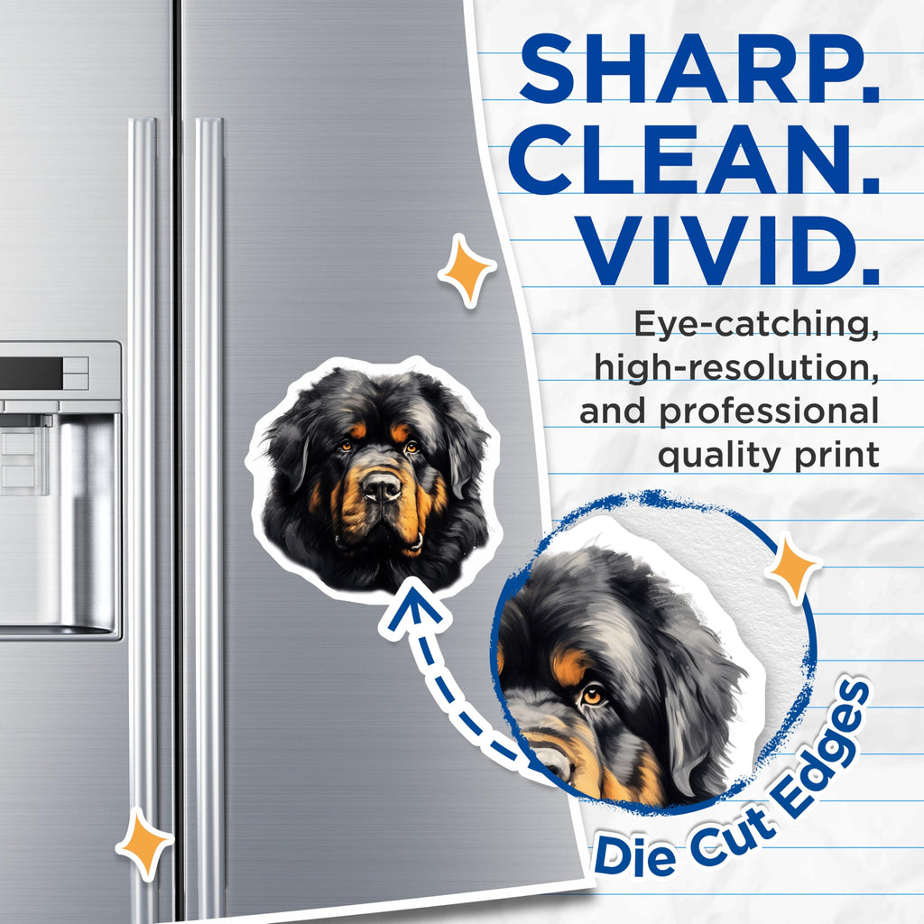 (2 Pack) Tibetan Mastiff Magnets - Regal Dog Breed Art - Big Canine Pet Owner Refrigerator Home Decor - 5 Inches On Longest Side - Thick Durable Magnet - Made in USA - MAG29628