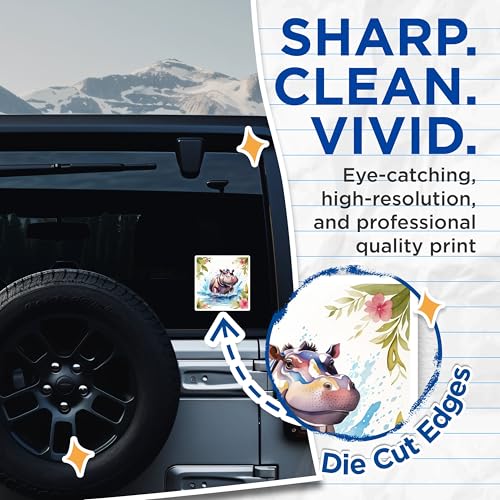 (2 Pack) Hippo Water Splash Stickers - Cute Hippo Art - Waterproof Animal Decor - 5" On Longest Side - Sticks to Smooth Flat Surfaces - Made in USA - BMCS8700 - Fun Laptop Accessories