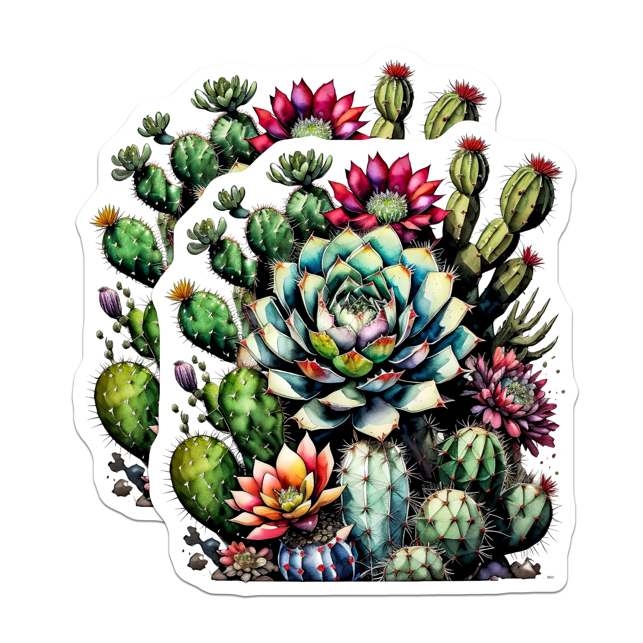 (2 Pack) Cactus Floral Magnets - Succulent Plants Decor - Southwestern Home Accent - 5" On Longest Side - Premium Magnet - for Cars, Refrigerators, Toolboxes, Lockers - Made in USA - MAG15655
