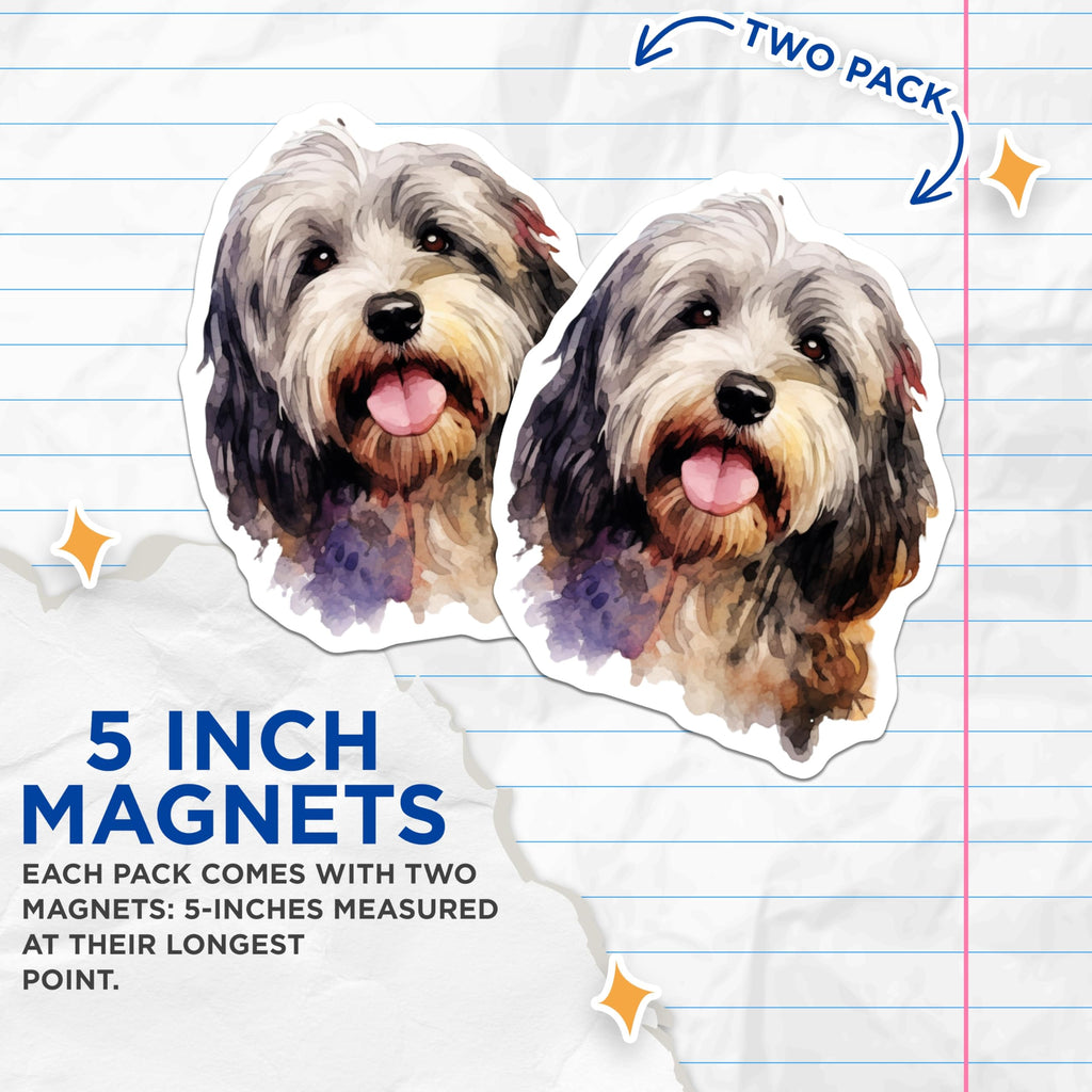 (2 Pack) Havanese Dog Watercolor Magnets - Cute Pet Animal - Dog Mom Dad Decor - 5 Inches On Longest Side - Thick Durable Magnet - Made in USA - MAG29435