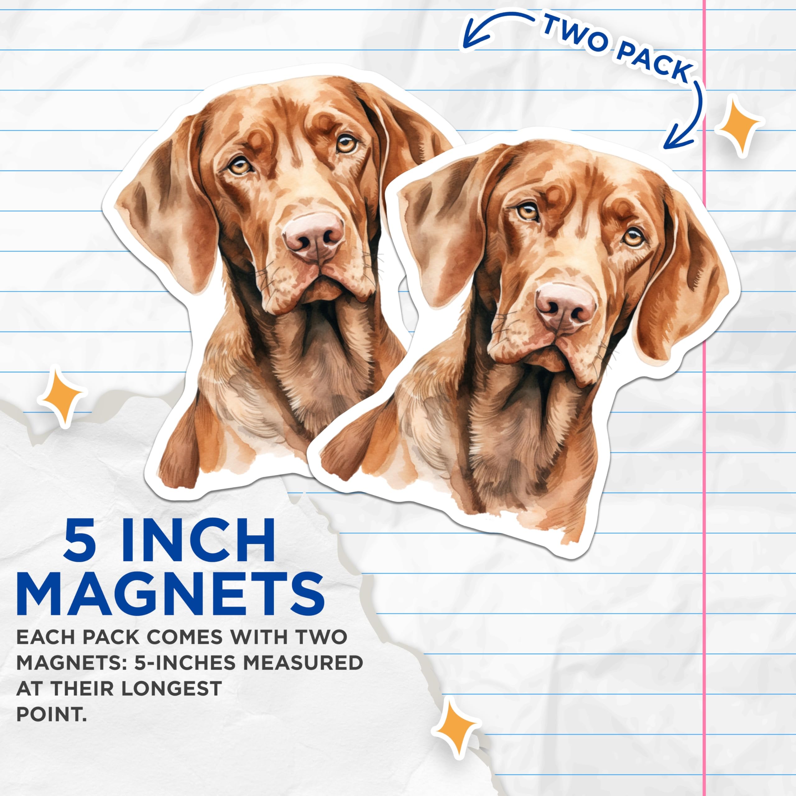 (2 Pack) Vizsla Dog Magnets - Watercolor Dog Art - Dog Owner Decor - 5 Inches On Longest Side - Thick Durable Magnet - Made in USA - MAG27153