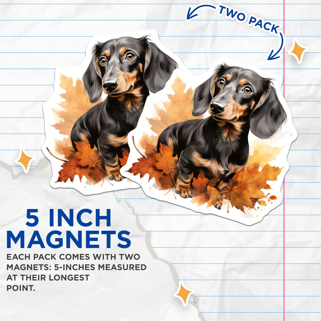 (2 Pack) Dachshund Dog Magnets - Fall Leaves Pet Decor - Wiener Dog Refrigerator Art - 5 Inches On Longest Side - Thick Durable Magnet - Made in USA - MAG24604