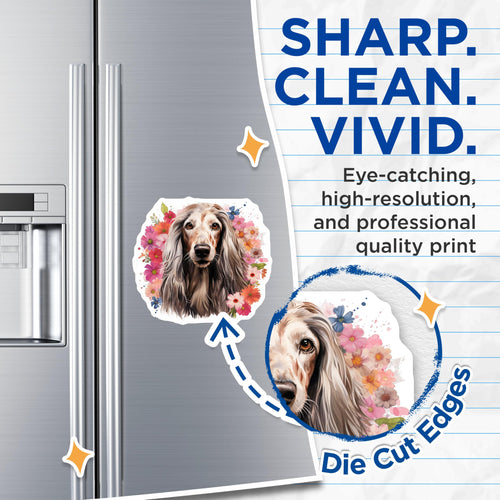 (2 Pack) Afghan Hound Magnets - Watercolor Dog Art - Floral Pet Lover Fridge Decor - Elegant Canine Home Accent - 5 Inches On Longest Side - Thick Durable Magnet - Made in USA - MAG30533