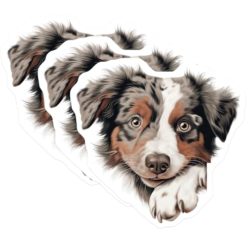 (3 Pack) Australian Shepherd Decals - Cute Aussie Dog Stickers - Laptop Decals - 3 Inches On Longest Side - Easy Peel & Apply - Made in USA - 3MCS8601
