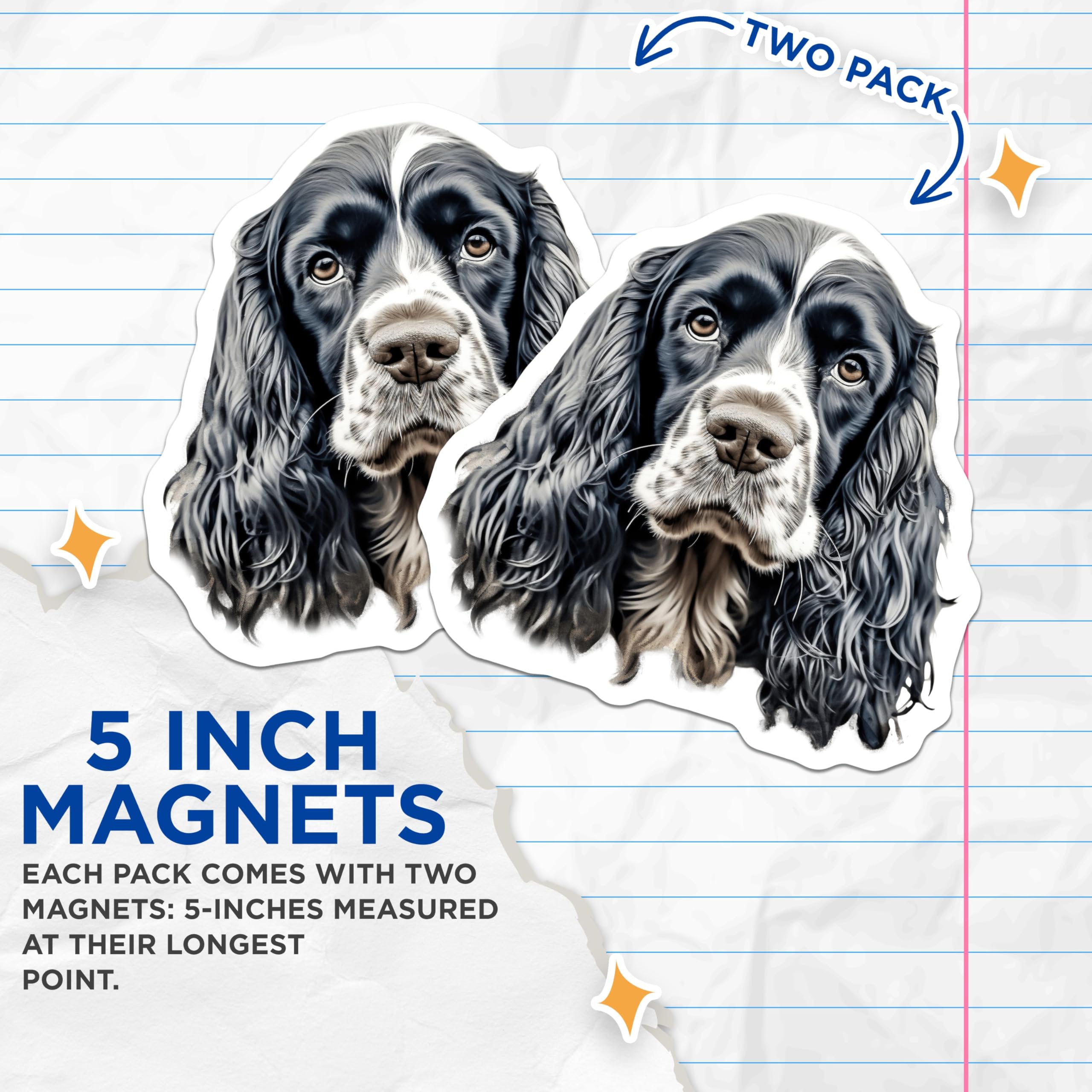 (2 Pack) Cocker Spaniel Magnets - Springer Dog Portrait - Animal Lover Decor - 5 Inches On Longest Side - Thick Durable Magnet - Made in USA - MAG28440