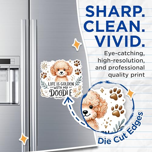 (2 Packs) Life is Golden with My Doodle Magnets - Golden Doodle Dog Breed Magnets - 5 Inches On Longest Side - Premium Magnet - for Fridges, Toolboxes, Cars - Made in USA - MAG2383