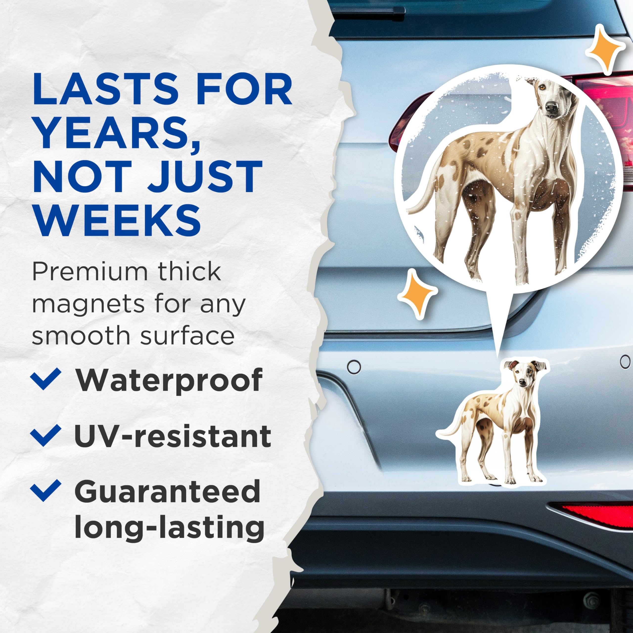 (2 Pack) Sighthound Dog Magnets - Greyhound Whippet Art - Pet Owner Refrigerator Decor - Dog Mom Dad Fridge Accent - 5 Inches On Longest Side - Thick Durable Magnet - Made in USA - MAG25061