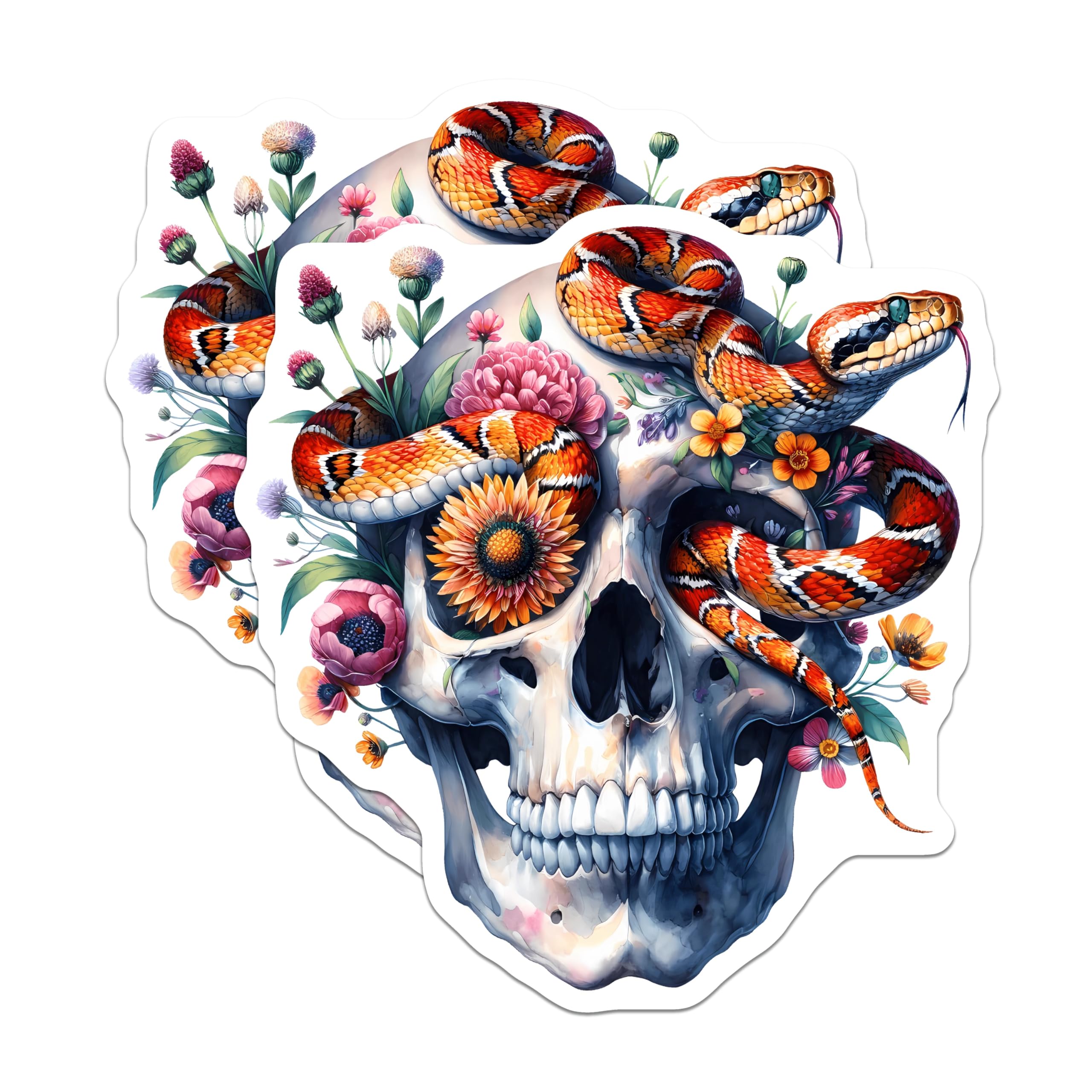 (2 Pack) Floral Skull Snake Magnets - Gothic Art Decor - Refrigerator Magnets - 5 Inches On Longest Side - Thick Durable Magnet - Made in USA - MAG21434