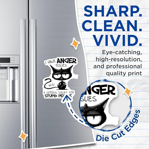 (2 Pack) Anger Issues Magnets - Funny Cat Magnet - Sarcastic - 5" On Longest Side - for Cars, Fridges, Toolboxes - Made in USA - MAG3982