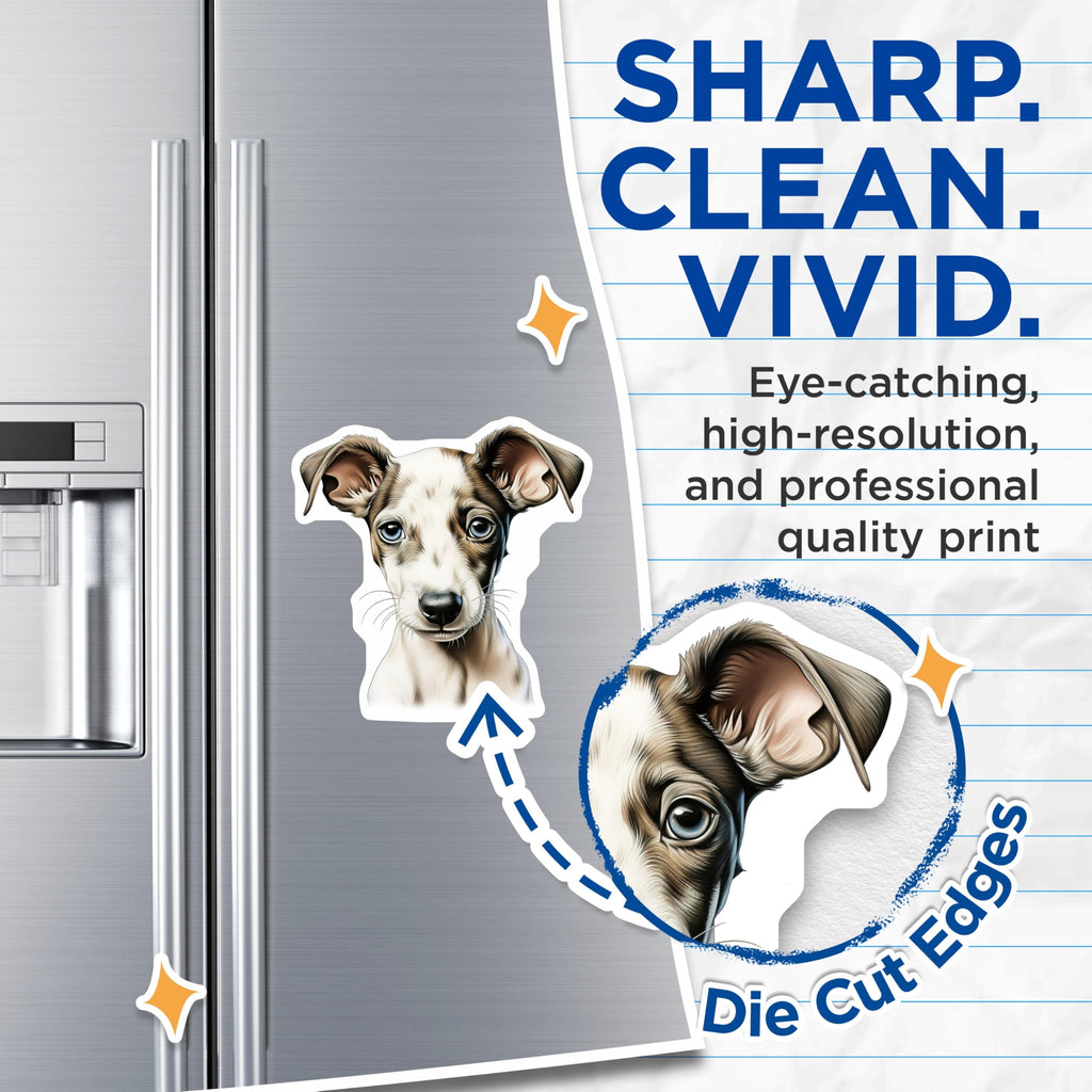 (2 Pack) Italian Greyhound Puppy Magnets - Cute Dog Decor - Pet Lover Collection - 5 Inches On Longest Side - Thick Durable Magnet - Made in USA - MAG24050