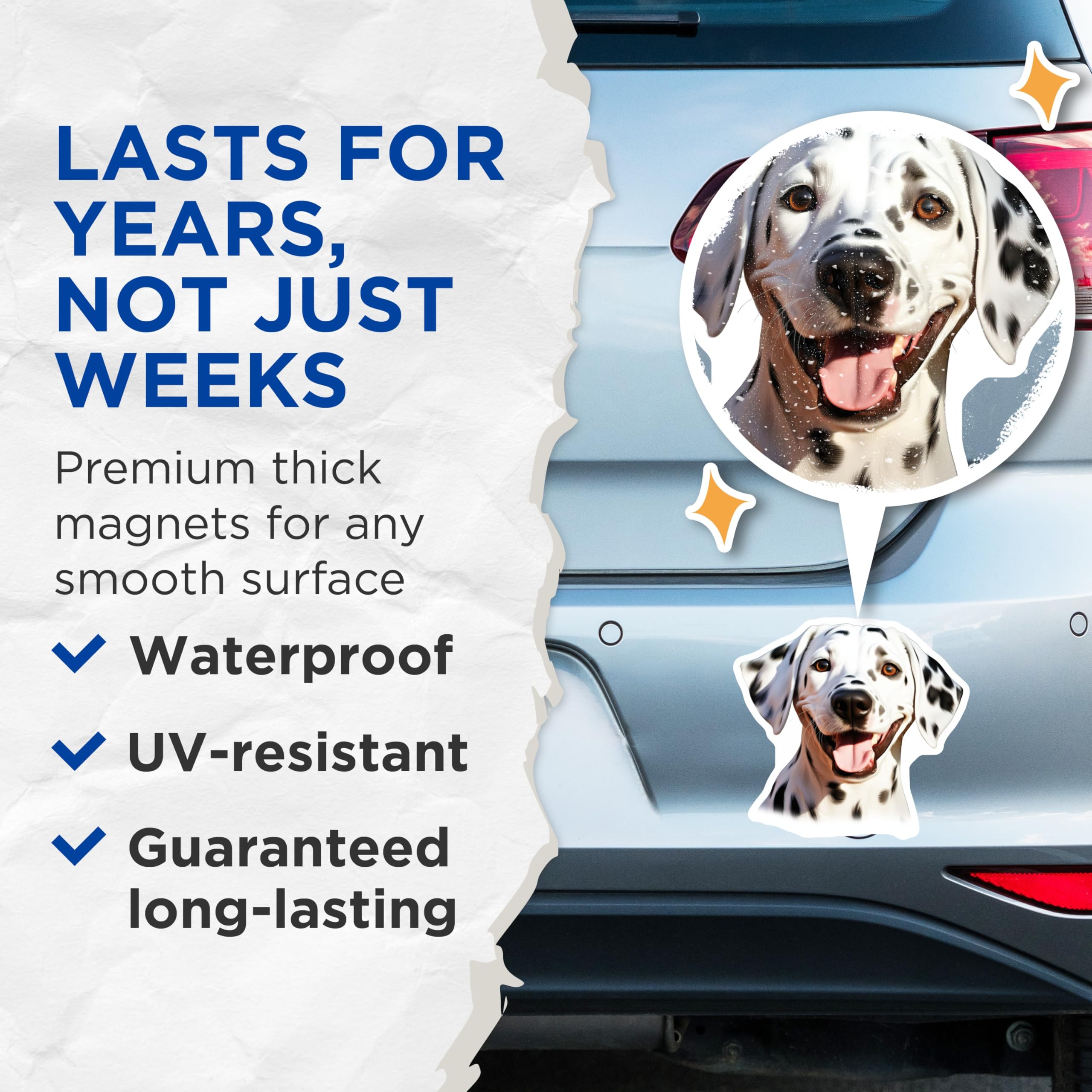(2 Pack) Dalmatian Dog Magnets - Happy Smiling Dog Refrigerator Magnets - Pet Lover Kitchen Decor for Dog Moms - 5 Inches On Longest Side - Thick Durable Magnet - Made in USA - MAG30009