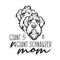 (2 Pack) Giant Schnauzer Mom Magnets - Dog Lover Decor - Pet Parent Refrigerator Accessories - 5 Inches On Longest Side - Thick Durable Magnet - Made in USA - MAG27066