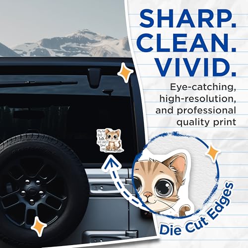 (2 Pack) Funny Cat Stickers - Pet Lover Decals - Cute Cat Quotes for Laptops and Water Bottles - 5" On Longest Side - Sticks to Smooth Flat Surfaces - Made in USA - BMCS4336