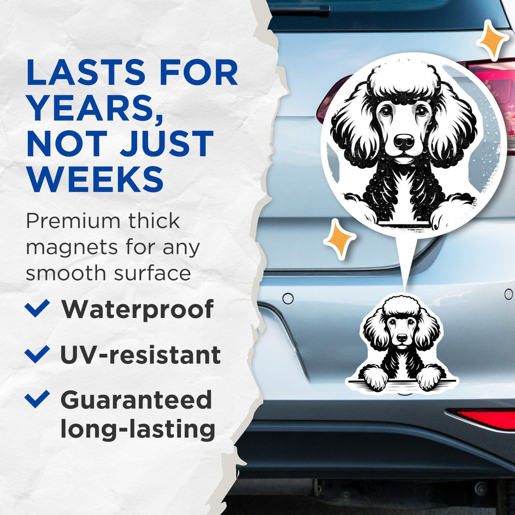 (2 Pack) Poodle Dog Magnets - Cute Puppy Breed - Refrigerator Decor - 5" On Longest Side - Premium Magnet - for Cars, Refrigerators, Toolboxes, Lockers - Made in USA - MAG14099