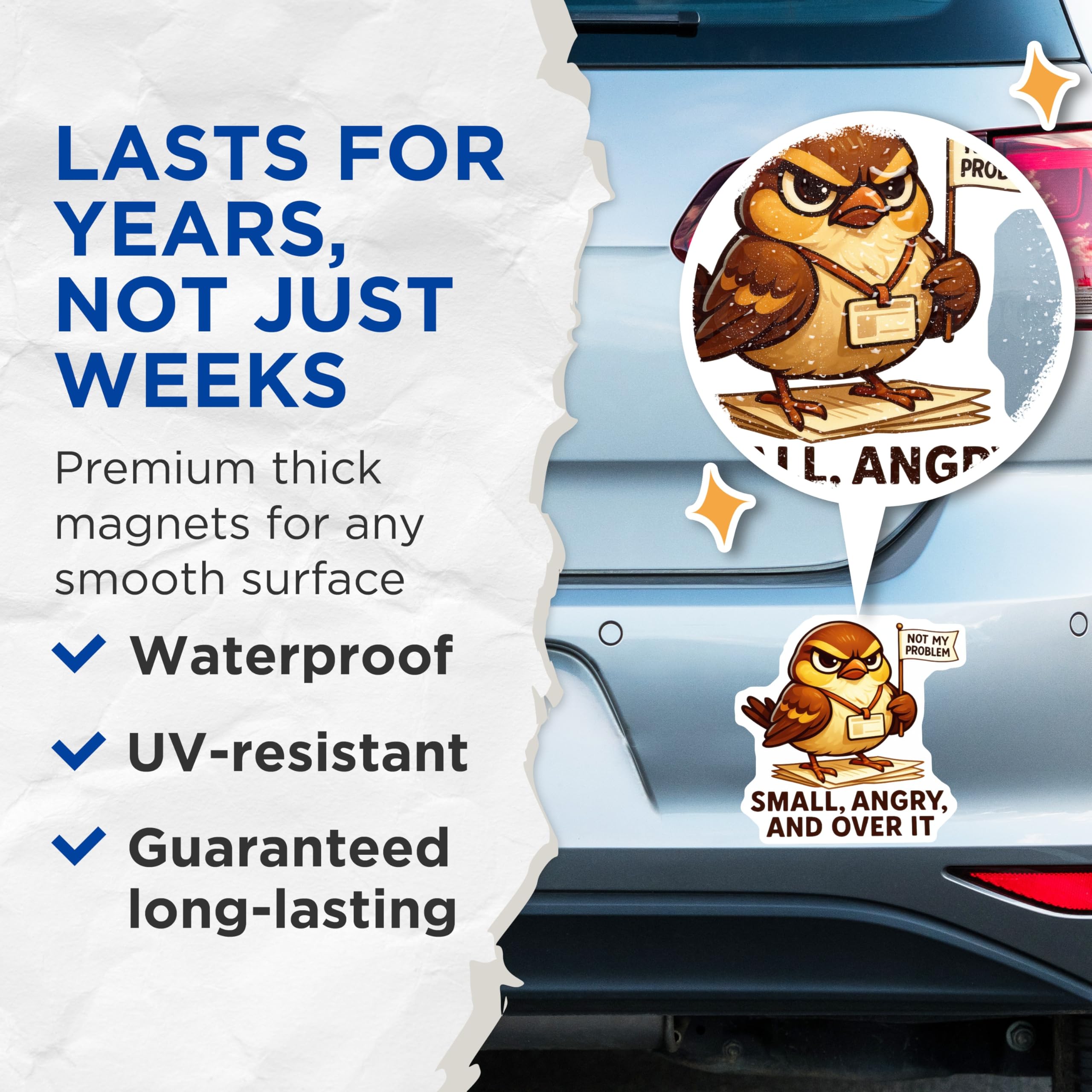 (2 Pack) Angry Sparrow Magnets - Not My Problem Bird - Funny Sarcastic Quote - Office Humor Decor - Over It Attitude - 5 Inches On Longest Side - Thick Durable Magnet - Made in USA - MAG22121