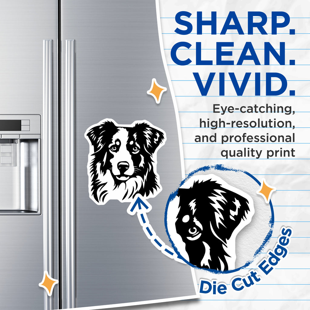 (2 Pack) Australian Shepherd Magnets - Aussie Dog Face Art - Pet Owner Refrigerator Decor - Animal Lover Canine Breed - 5 Inches On Longest Side - Thick Durable Magnet - Made in USA - MAG36445