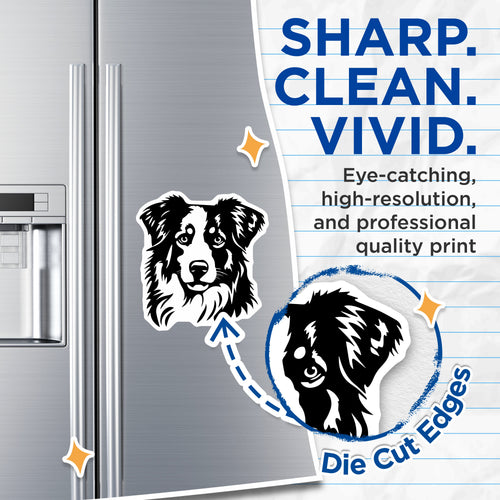 (2 Pack) Australian Shepherd Magnets - Aussie Dog Face Art - Pet Owner Refrigerator Decor - Animal Lover Canine Breed - 5 Inches On Longest Side - Thick Durable Magnet - Made in USA - MAG36445