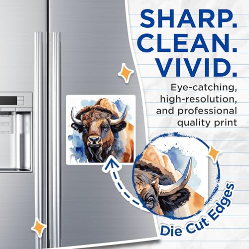 (2 Pack) Buffalo Art Magnets Magnets - Animal Illustration - Wildlife Decor - 5" On Longest Side - Made in USA - Sticks to Refrigerators & Metal Surfaces - MAG8681