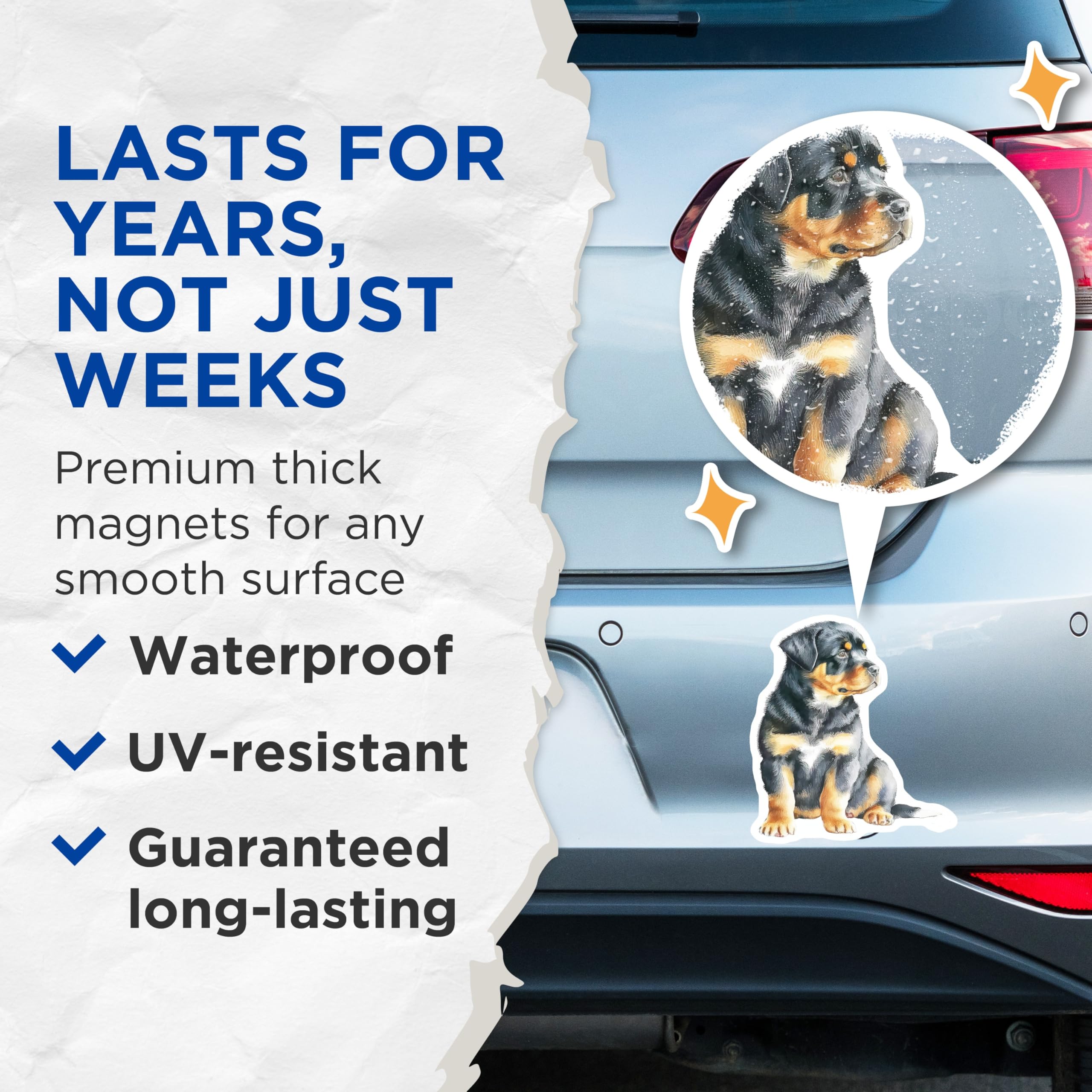 (2 Pack) Rottweiler Puppy Magnets - Cute Dog Lovers - Fridge Locker Decoration - 5" On Longest Side - Premium Magnet - for Cars, Refrigerators, Toolboxes, Lockers - Made in USA - MAG14215