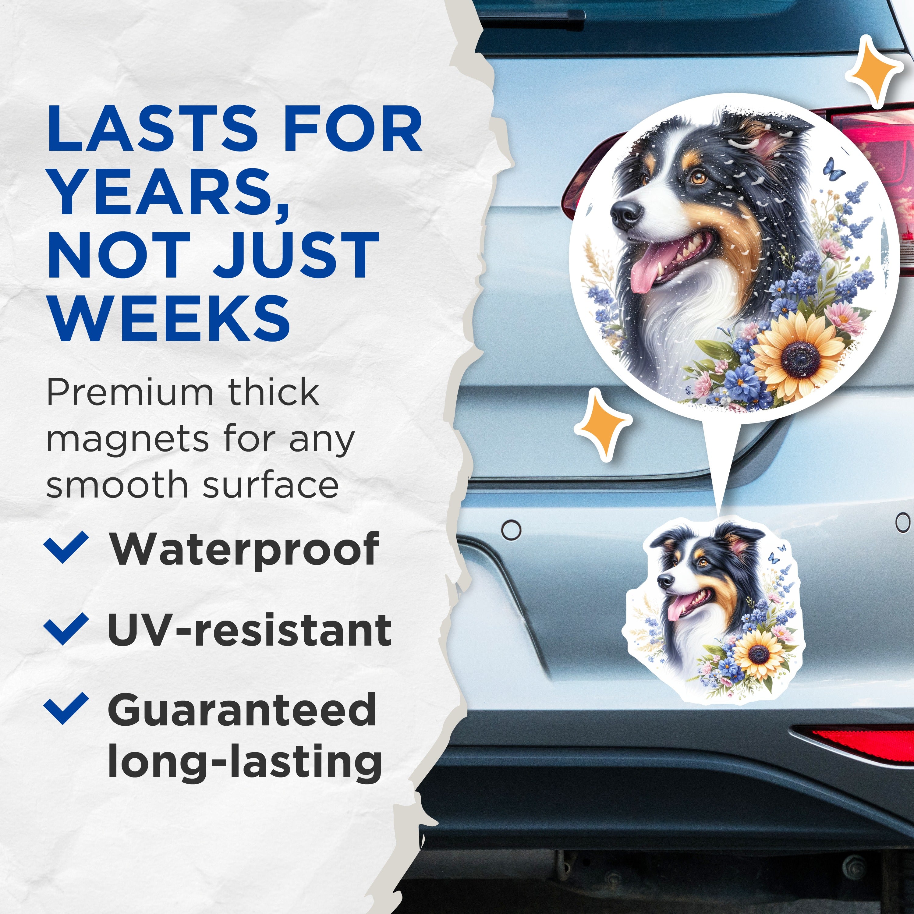 (2 Pack) Border Collie Dog Magnets - Whimsical Floral Animal Art - Pet Lover Refrigerator Decor - 5 Inches On Longest Side - Thick Durable Magnet - Made in USA - MAG36245
