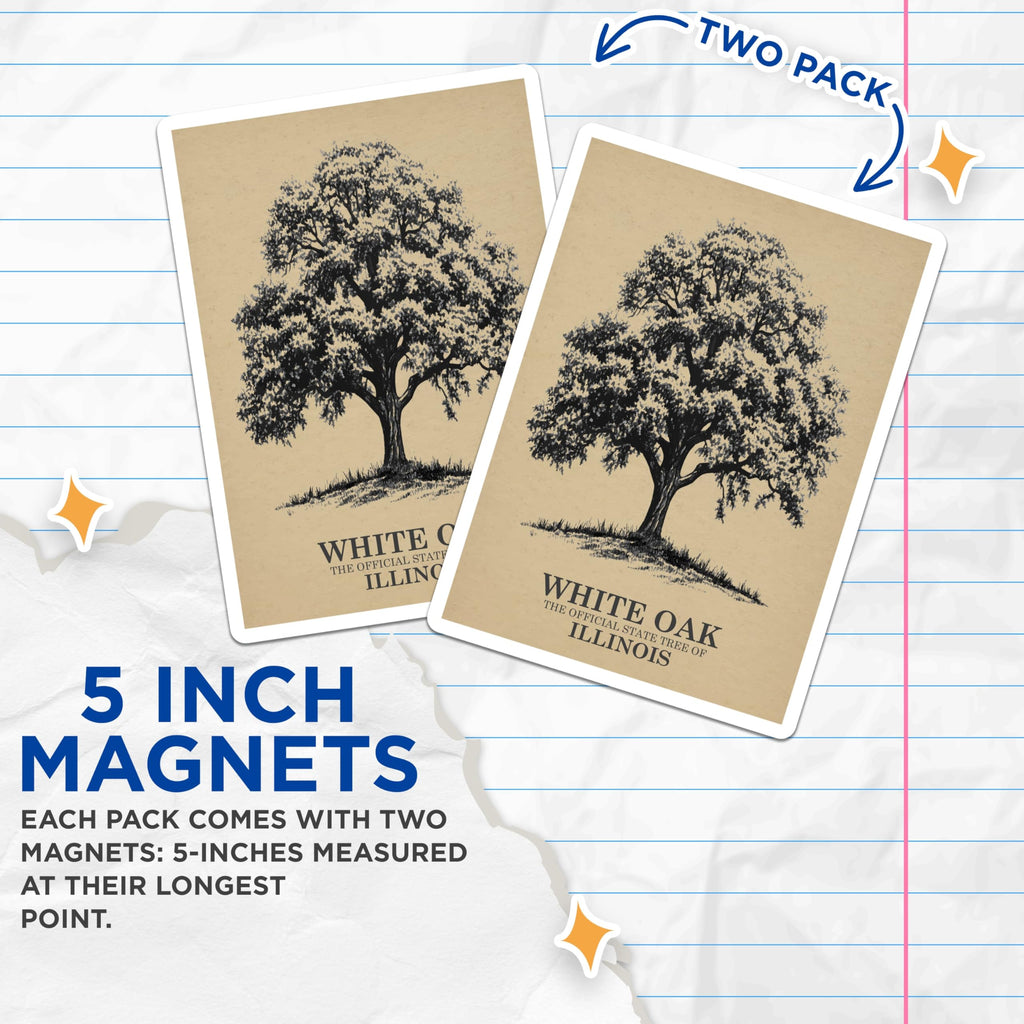 (2 Pack) White Oak Magnets - Illinois State Tree - Nature Decor Magnets - 5" On Longest Side - Premium Magnet - for Cars, Refrigerators, Toolboxes, Lockers - Made in USA - MAG18181