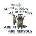 (2 Pack) Racoon Quote Stickers - Nervous Racoon - Funny Animal Sticker - 5" On Longest Side - Sticks to Smooth Flat Surfaces - Made in USA - BMCS8884