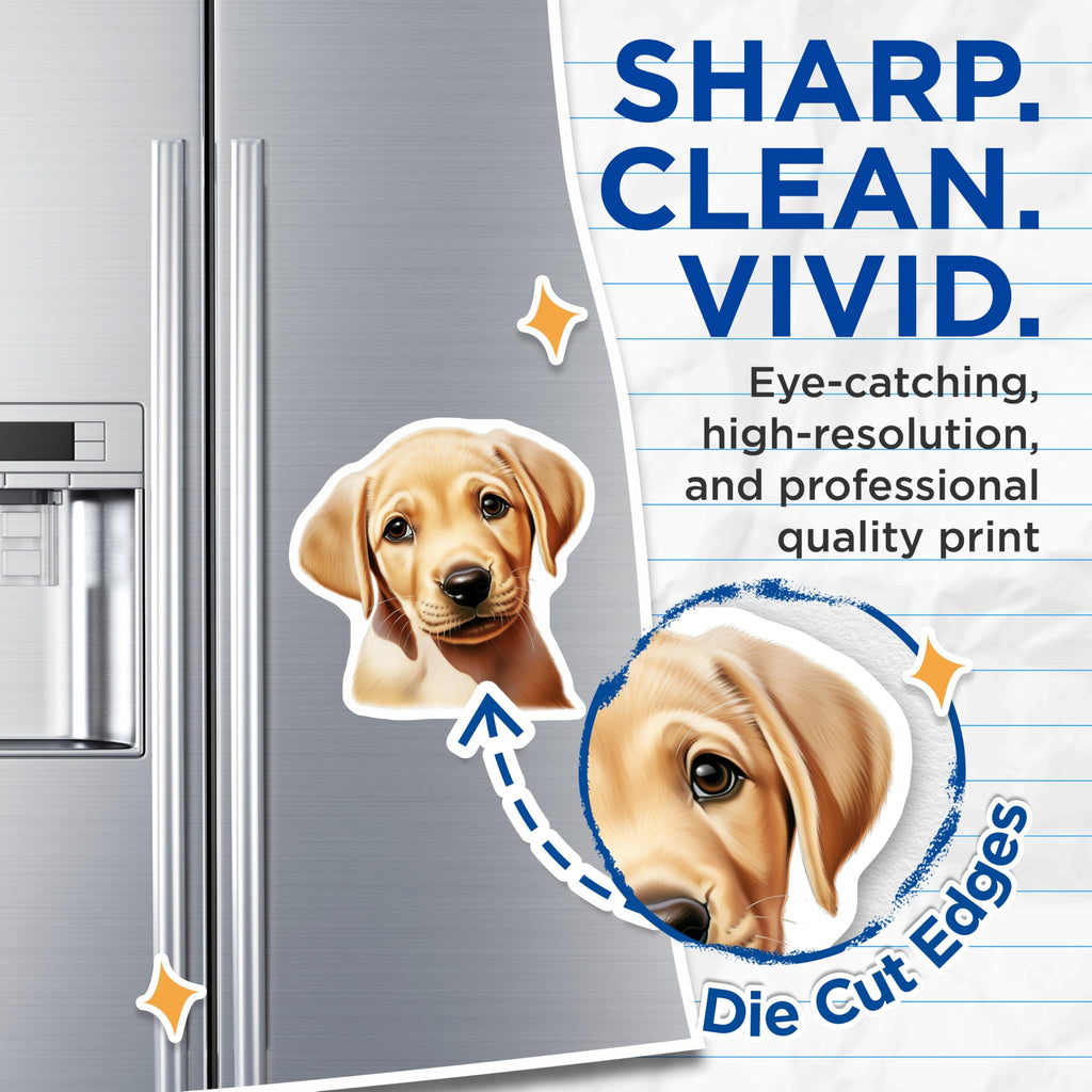 (2 Pack) Cute Golden Retriever Puppy Magnets - Dog Lover Home Decor - Animal Lover Pet Owner Fridge Accessory - 5 Inches On Longest Side - Thick Durable Magnet - Made in USA - MAG30757