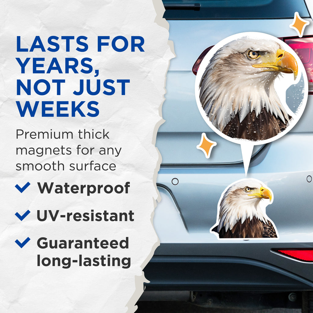 (2 Pack) Bald Eagle Magnets - American Wildlife Decor - Patriotic USA Symbolism - Nature Lover Accent - Freedom Bird Display - 5 Inches On Longest Side - Thick Durable Magnet - Made in USA - MAG39688