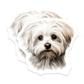 (2 Pack) Maltese Dog Magnets - Fluffy White Puppy Art - Dog Lover Kitchen Decor - 5 Inches On Longest Side - Thick Durable Magnet - Made in USA - MAG24428
